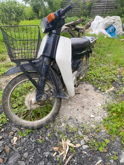 Suzuki Birdie. 49����. ��., ��������, ���������, ������ �� �� ����