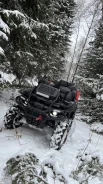 Stels ATV 800 Guepard Trophy EPS. ��������, ��, �� ����