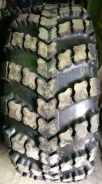 ����-410. �����������, 2024 ���, ����� ����