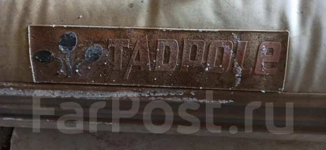 Tadpole. ��������� ��� ��������� ����