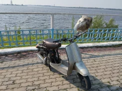 Suzuki Ran. 50����. ��., ��������, ��� ���, ������ �� �� ����
