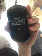 ���� ������������. ����
