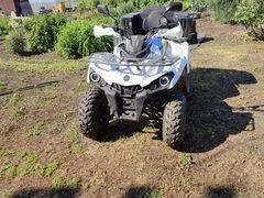 Motoland Shark 200. ��������, ��� ���\���, �� ����