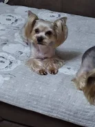 ����������� ������. ����
