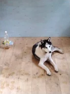 �����. ����