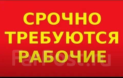 Рабочие (можно без опыта) Почасовая оплата труда !, работа в