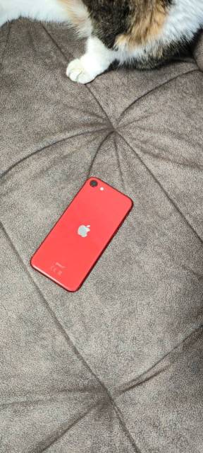 Apple iPhone SE 2020. /, 64  