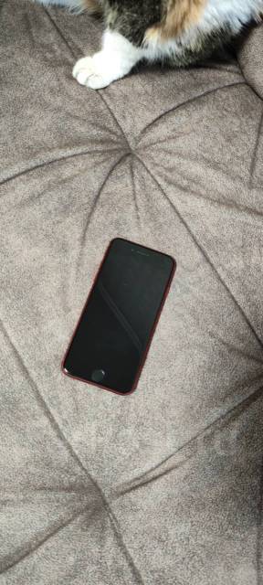Apple iPhone SE 2020. /, 64  