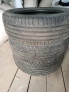Nordman 2. ������, 2017 ���, �/�, ����� 50 % ����