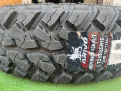 Arivo Lion Back N39 M/T. ����� mt, ����� ����