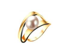 ������ ������� ����� ������ � �������� ����