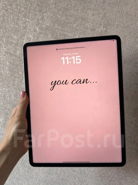 Apple iPad. 12.9 ������, ������ 256 �� ����