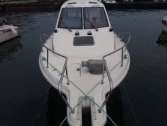 Yamaha FR-24. 1993 ���, ����� 7,2��., ��������� ���������, 150��.�., ������ ����