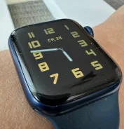 Apple Watch Series 6. GPS, NFC ����