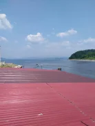 ������ ������. 7 �������, 50���/� ����