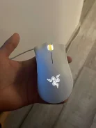 ���� �������. ����