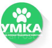 Выставка животных приют. Благотворительные организации для животных. Умка бездомных животных. Выставка собак из приюта. Умка бездомных животных.