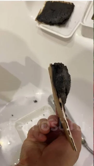 ������ ������������. ����