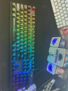 ����������. ����