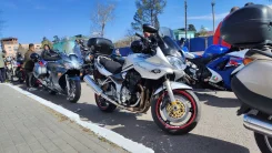Suzuki GSF 1200S Bandit. 12 000����. ��., ��������, ���������, ������ �� �� ����