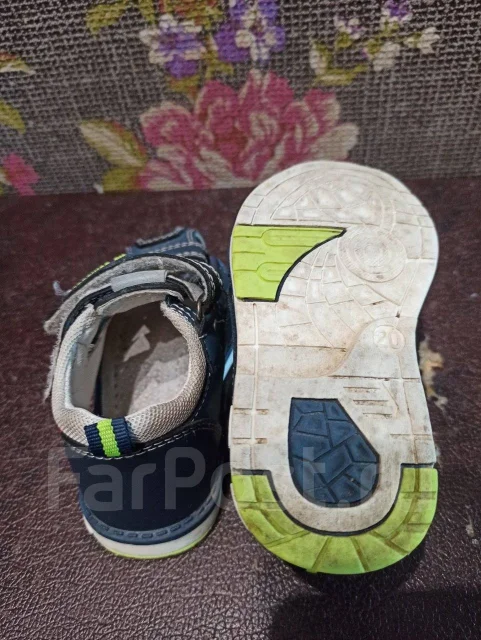 ��������. 19.5 ����