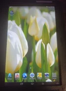 Samsung. 10.1 ������, ������ 16 �� ����