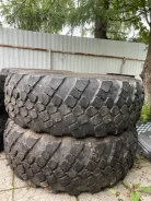 ����-1260. �����������, �/�, ����� 40 % ����
