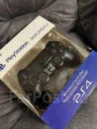 ��������. ����