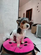 �����-����������� ������. ����