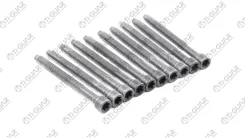 �������� ������ (���) TG-CHB121-SET * Ti�GUAR TGCHB121SET ����