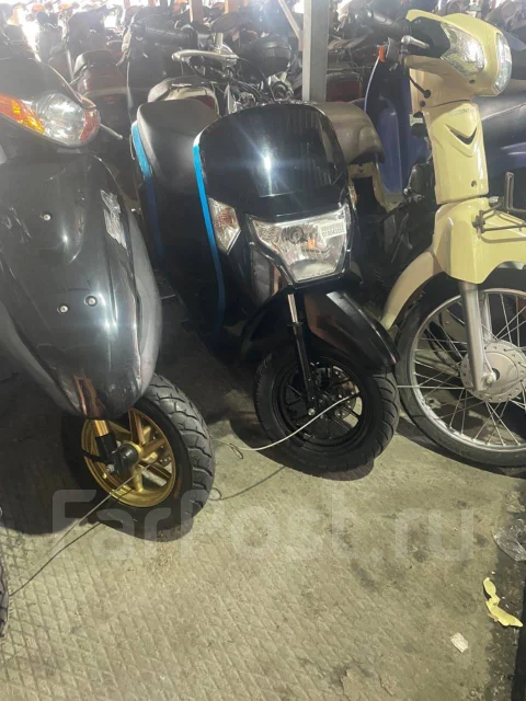 Honda Dunk. 49����. ��., ��������, ���������, ��� ������� ����