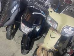 Honda Dunk. 49����. ��., ��������, ���������, ��� ������� ����