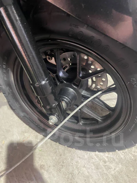 Honda Dunk. 49����. ��., ��������, ���������, ��� ������� ����