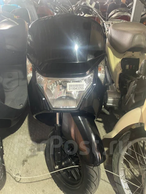 Honda Dunk. 49����. ��., ��������, ���������, ��� ������� ����