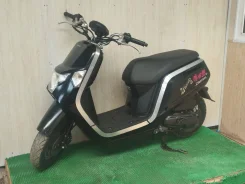 Honda Dunk. 49����. ��., ��������, ��� ���, ��� ������� ����
