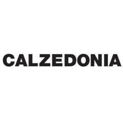 -- .  , Calzedonia.   15 