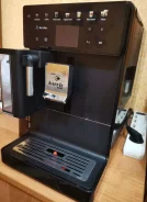 ����������. ����