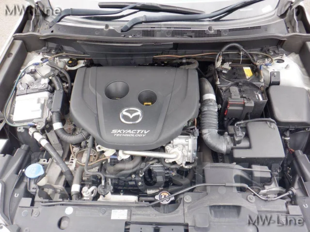 Mazda CX-3. DK5FW, S5DPTS ����