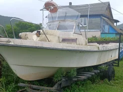 Yamaha F-22. 1990 ���, ����� 7,5��., ��������� ������������, 10��.�., ������ ����