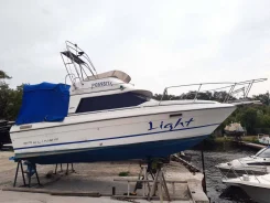 Bayliner. 1991 ���, ����� 7,6��., ��������� ������������, 310��.�., ������ ����
