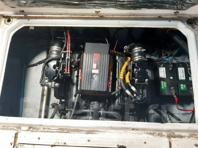 Bayliner. 1991 ���, ����� 7,6��., ��������� ������������, 310��.�., ������ ����