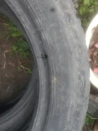 Dunlop DT-2. ������, �/�, ����� 60�% ����