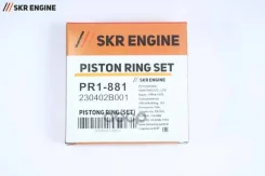������ ��������� SKR Engine ���. PR1-881 PR1881 ����