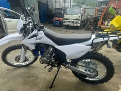 Alpha. 250����. ��., ��������, ��� ���, ��� ������� ����