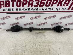   Toyota Corsa L40 (19821994) NL40 1NT [article_10880], ,  4341016100 