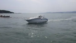 Bayliner. 1992 ���, ����� 10��., ��������� ������������, 440��.�., ������ ����