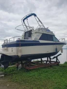 Yamaha SR-25. 1998 ���, ����� 8,25��., ��������� ������������, 300��.�., ������ ����