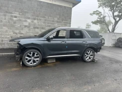 Hyundai Palisade. KMHR381EBKU075750, G6DN ����