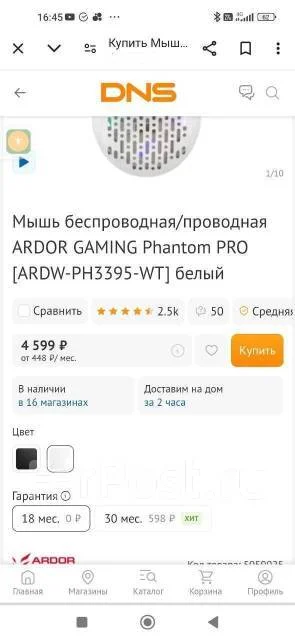 ���� �������. ����