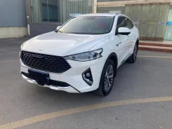 Haval F7x ����